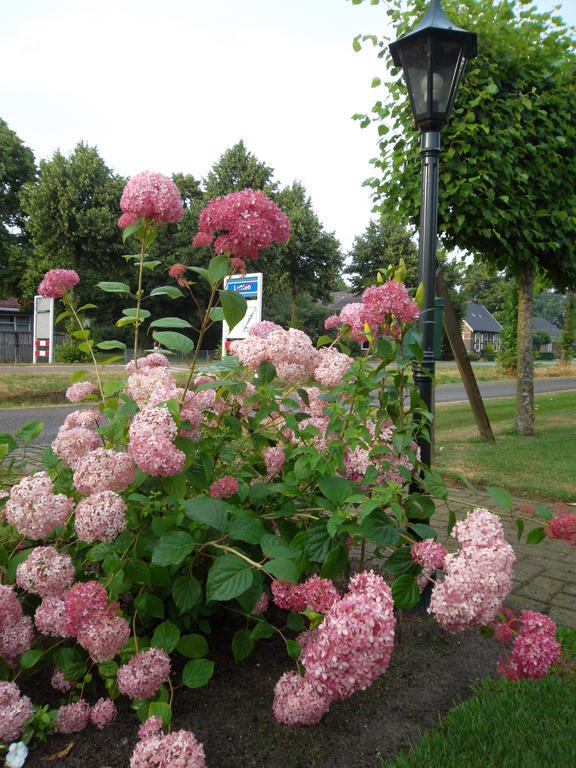 Hof Van Lutten Bed and Breakfast Exterior foto